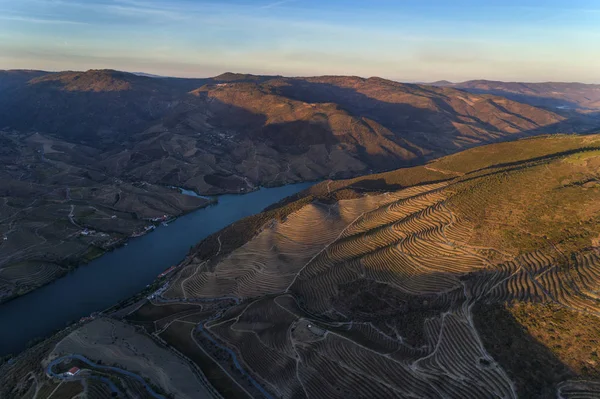 Bağ Teraslı Yamaçları Douro Vadisi Nin Tepelerde Hava Görünümünü Kavram — Stok fotoğraf