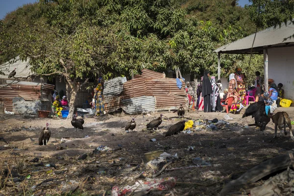 Gabu Gine Bissau Cumhuriyeti Şubat 2018 Batı Afrika Gine Bissau — Stok fotoğraf