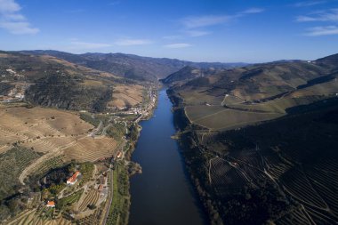 Douro Nehri ve Vadisi 'nin nehir kıyısında teraslı üzüm bağları olan havadan manzarası.; 