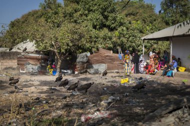 Gabu, Gine-Bissau Cumhuriyeti - 11 Şubat 2018: Batı Afrika 'nın Gine-Bissau şehrinde Gabu şehrinin varoşlarında yaşayan insanlar ve akbabalar.