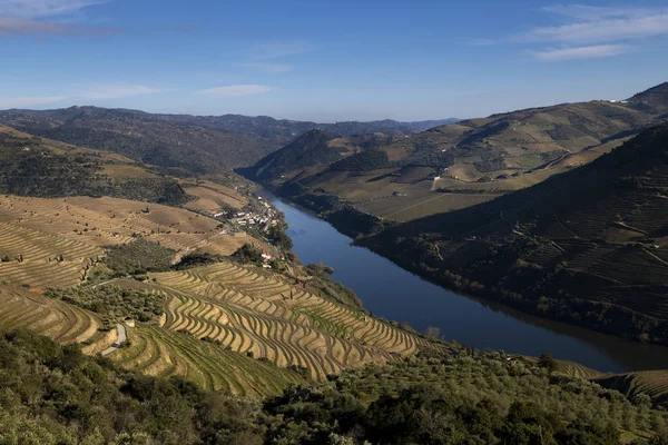 Güzel Douro Vadisi Tua Köyü Yakınlarındaki Douro Nehri Nin Manzarası — Stok fotoğraf