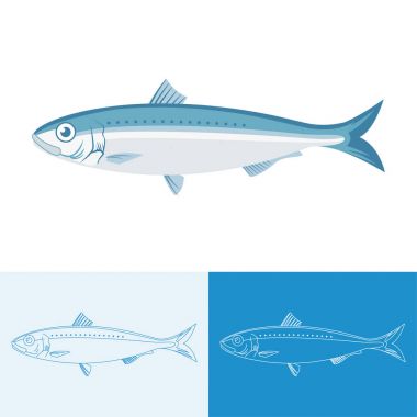 renkli sardalye kümesi