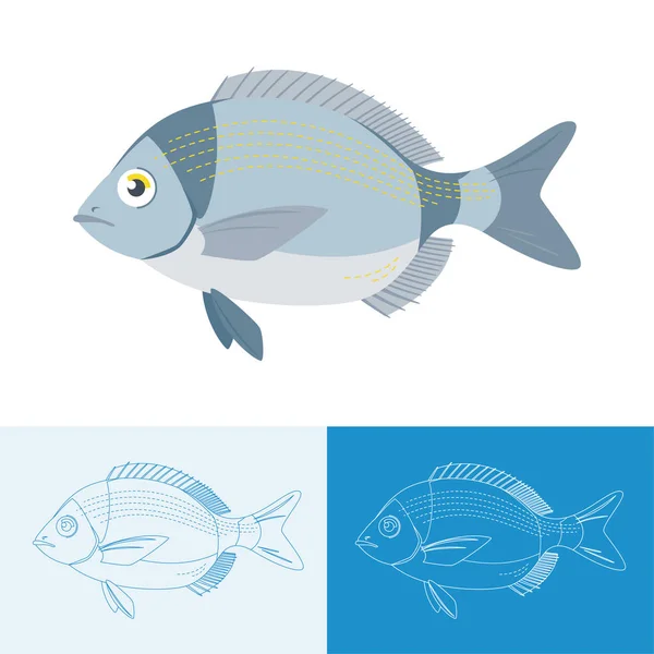 Sada barevných sargus ryb — Stockový vektor