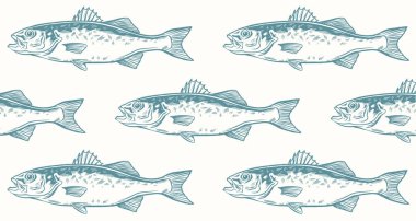 Beyaz arkaplanda levrek (lubina) çizilmiş mürekkep el çizimi vektör çizimi