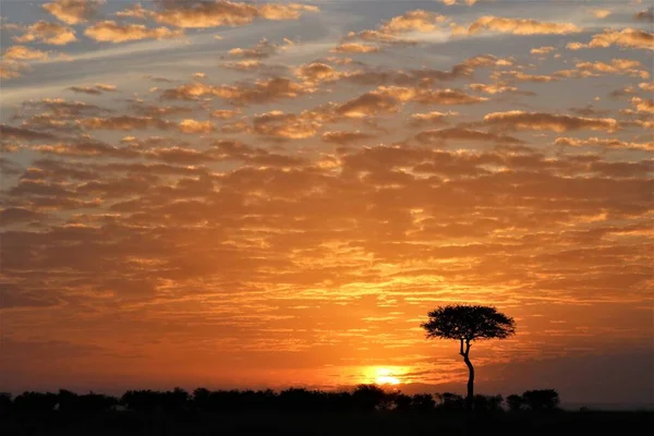 Gün batımında güneş ışığı bulutlu gökyüzünde