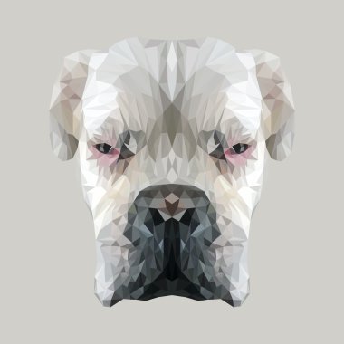 kızgın dog Head'a
