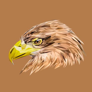 Kartal başını tasarımını