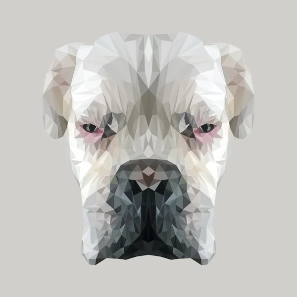 Hoofd van de boze hond — Stockvector