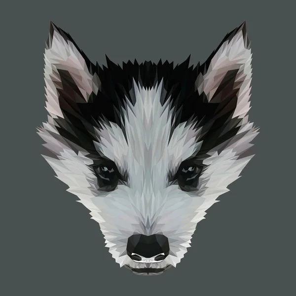 Lindo cachorro perro cabeza — Vector de stock