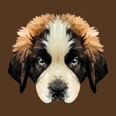 Saint Bernard köpek yavrusu köpek düşük Poli Dizayn.