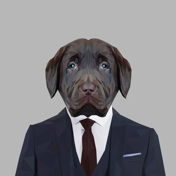 Labrador cachorro en traje — Vector de stock