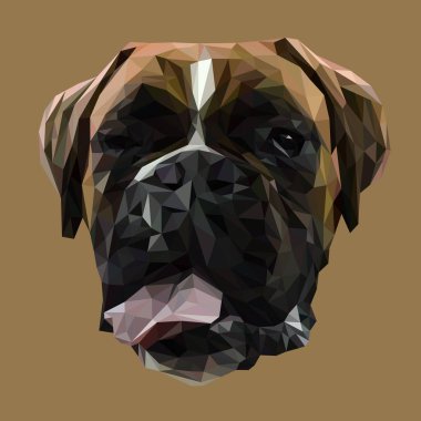 Boksör düşük Poli Dizayn