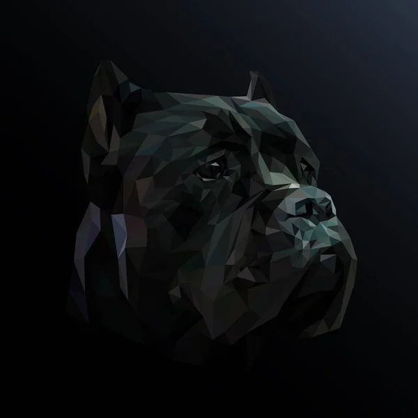 Cane Corso nízké poly design — Stockový vektor