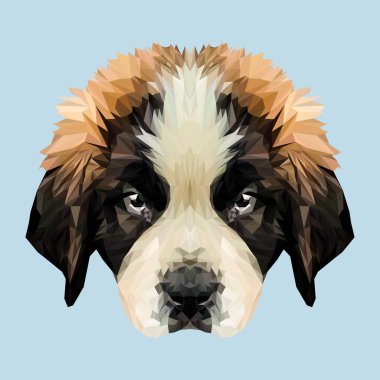Saint Bernard köpek yavrusu