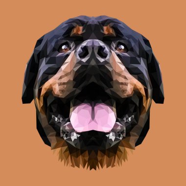Rottweiler köpek hayvan