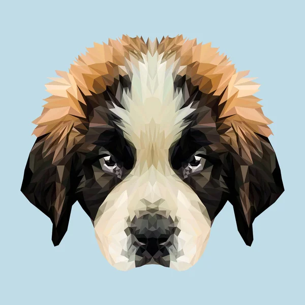 Saint Bernard köpek yavrusu