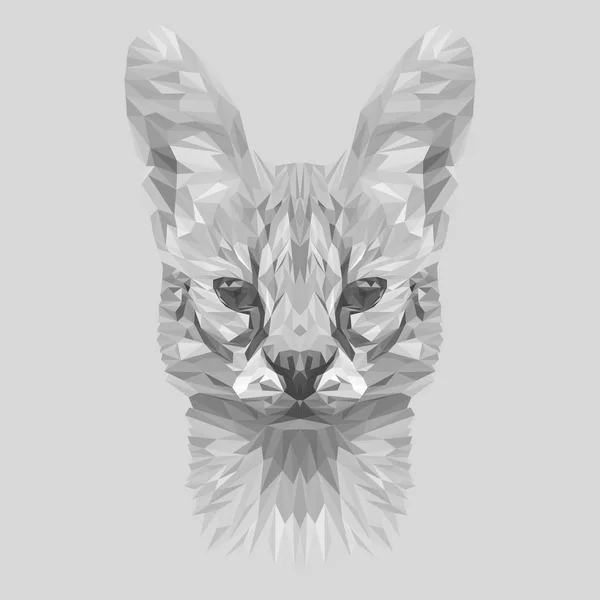 Wild cat lynx — Stock Vector