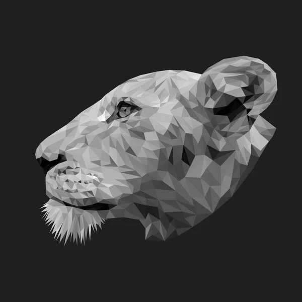 Lionne animal low poly design . — Image vectorielle