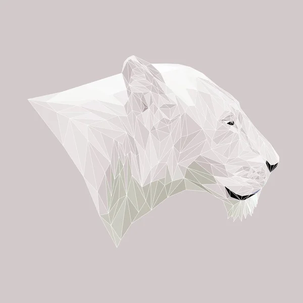 Lionne animal low poly design . — Image vectorielle