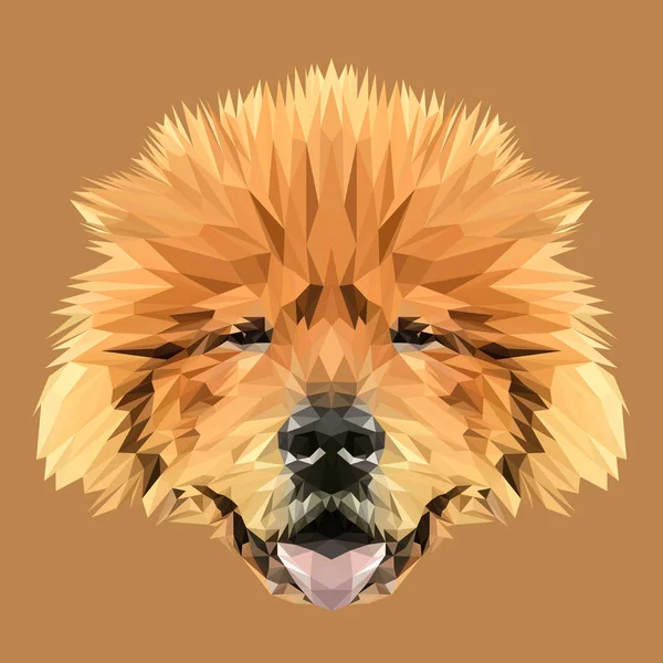チャウチャウストックベクター ロイヤリティフリーチャウチャウイラスト Depositphotos