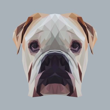 İngilizce bulldog köpek hayvan düşük Poli Dizayn