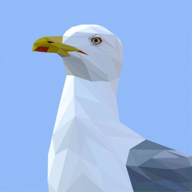 Martı kuşu düşük Poli Dizayn