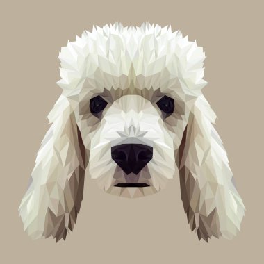 Kaniş köpek hayvan düşük Poli Dizayn