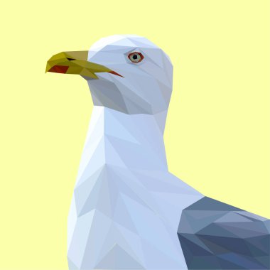 Martı kuşu düşük Poli Dizayn