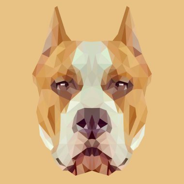 Amerikan personeli teriyer köpeği. 