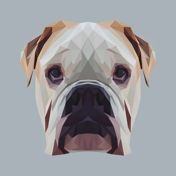 英語ブルドッグ犬動物の低ポリ デザイン — ストックベクタ
