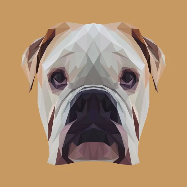 Bulldog inglés animal bajo diseño polivinílico — Vector de stock