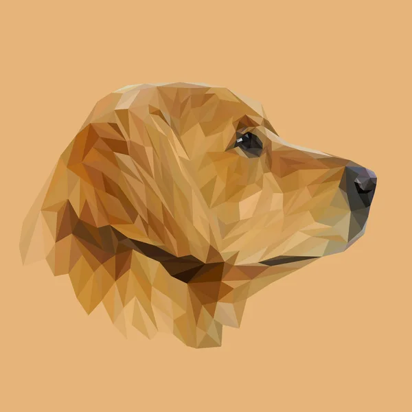 Golden retriever hund — Stock vektor