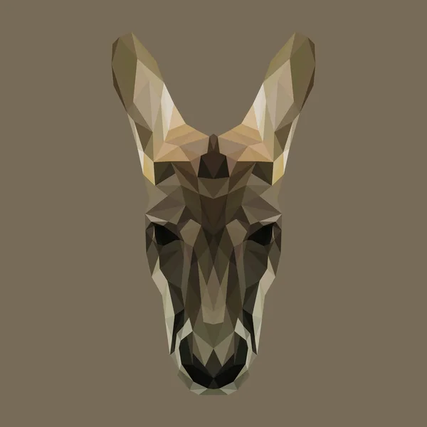 Kangourou low poly design . — Image vectorielle