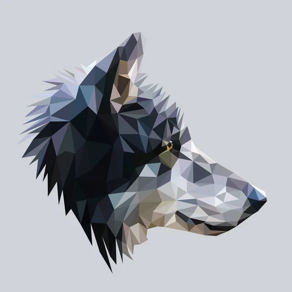 Lobo diseño de poli baja . — Vector de stock