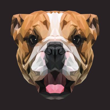 Bulldog düşük Poli Dizayn