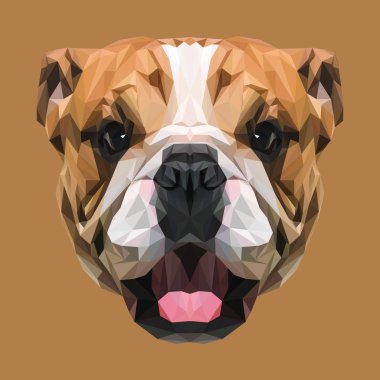 Bulldog düşük Poli Dizayn