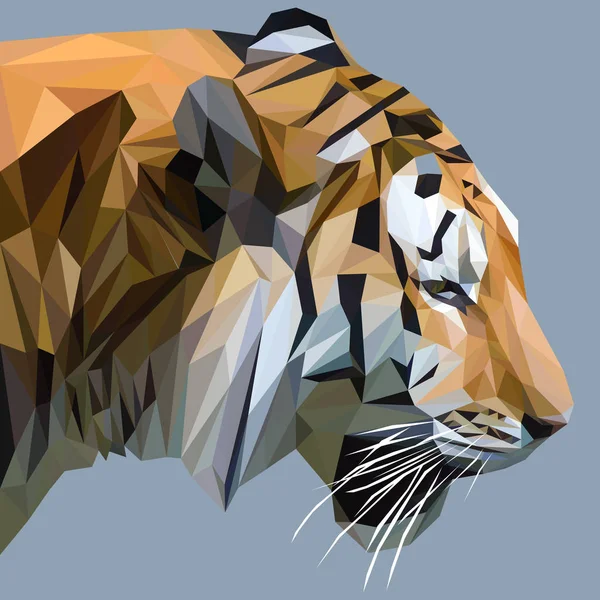 Tigre diseño de poli baja — Vector de stock