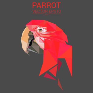 Papağan düşük Poli Dizayn