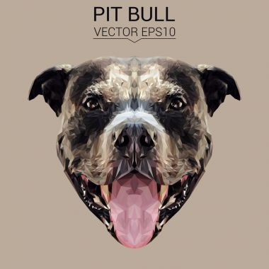 Pit bull düşük Poli Dizayn