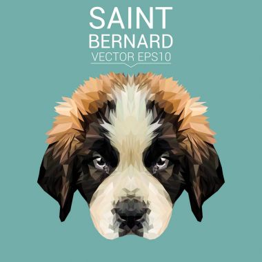 Saint Bernard düşük Poli Dizayn