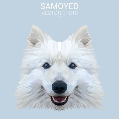 Samoyed düşük Poli Dizayn