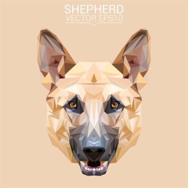 Çoban düşük Poli Dizayn