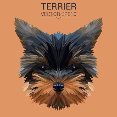 Korkunç düşük Poli Dizayn