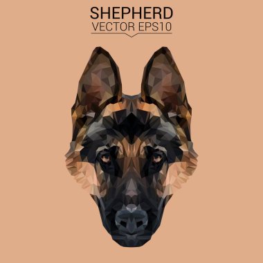 Çoban düşük Poli Dizayn