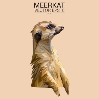 Meerkat düşük Poli Dizayn