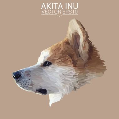 Akita Inu düşük Poli Dizayn