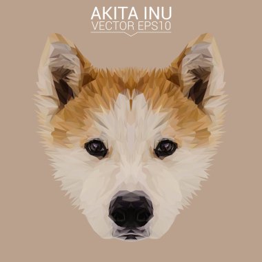 Akita Inu düşük Poli Dizayn