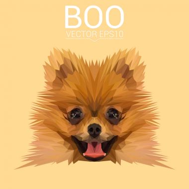 Düşük Poli dizayn boo