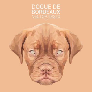 Dogue de Bordeaux low poly design
