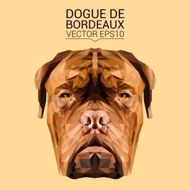 Dogue de Bordeaux low poly design